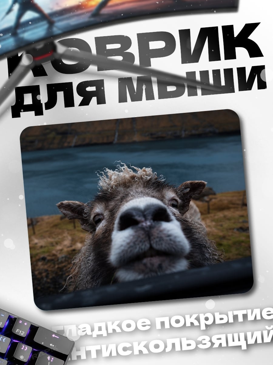 Коврик любопытная овца крупным планом