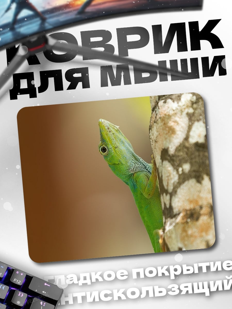 Коврик Зеленая ящерица