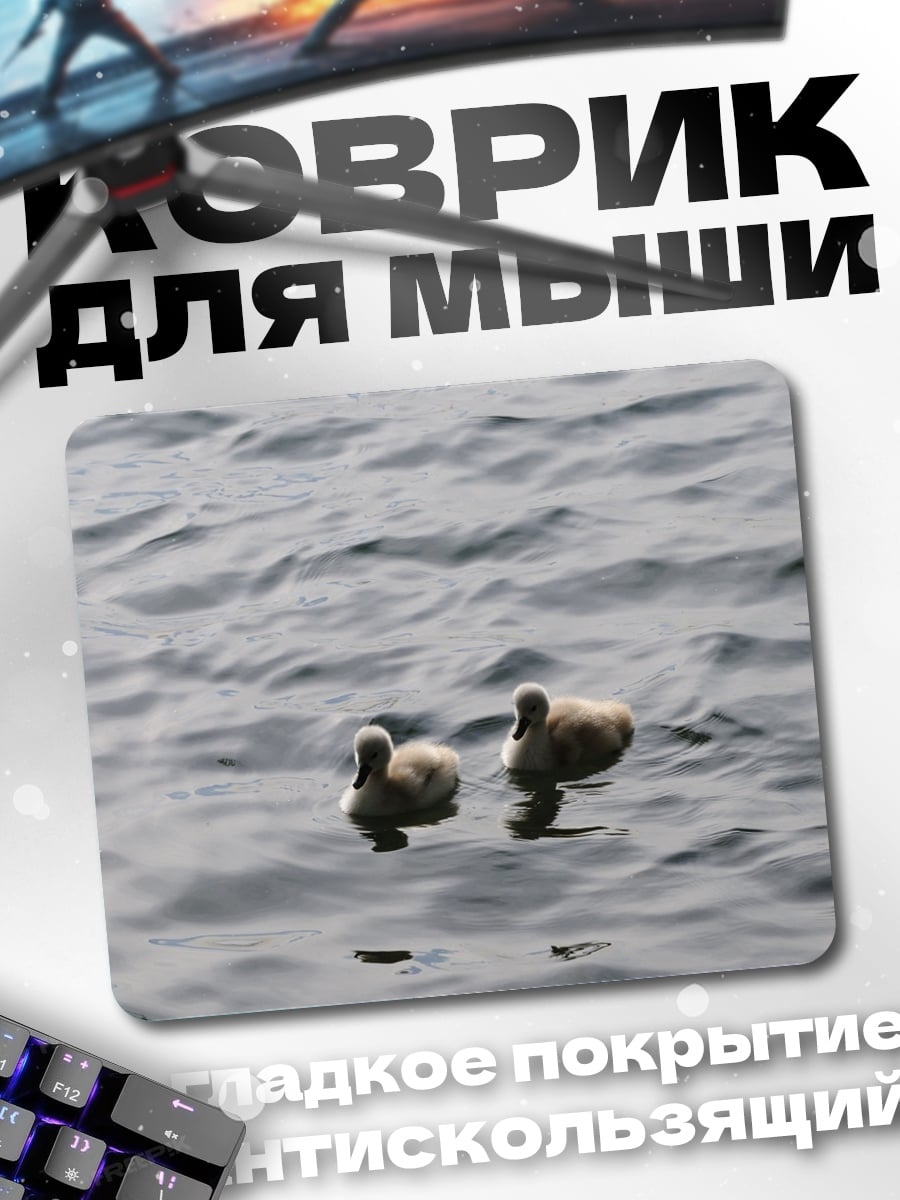 Коврик Два лебедя на воде