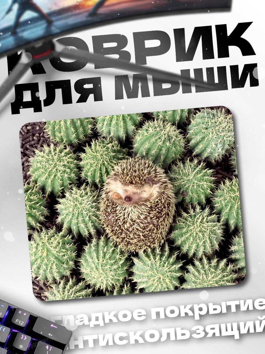 Коврик Ёжик среди кактусов