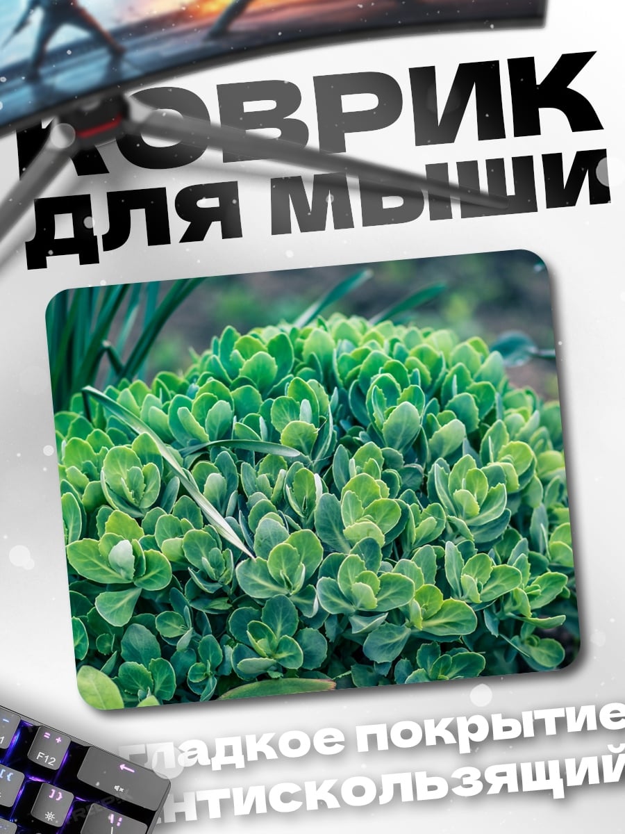 Коврик Зеленый куст