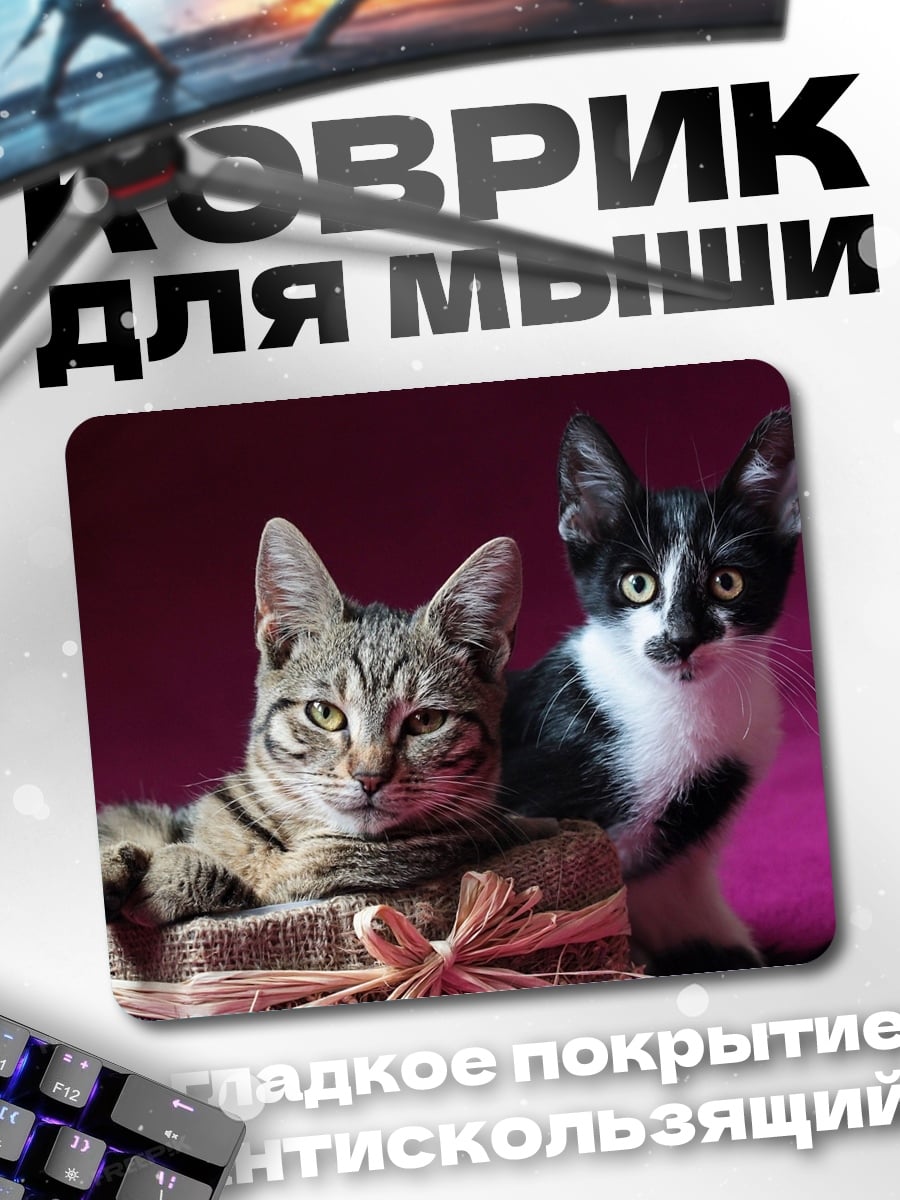 Коврик Два котенка