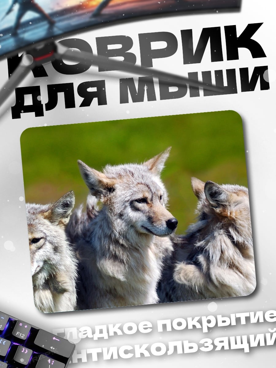 Коврик Трое койотов