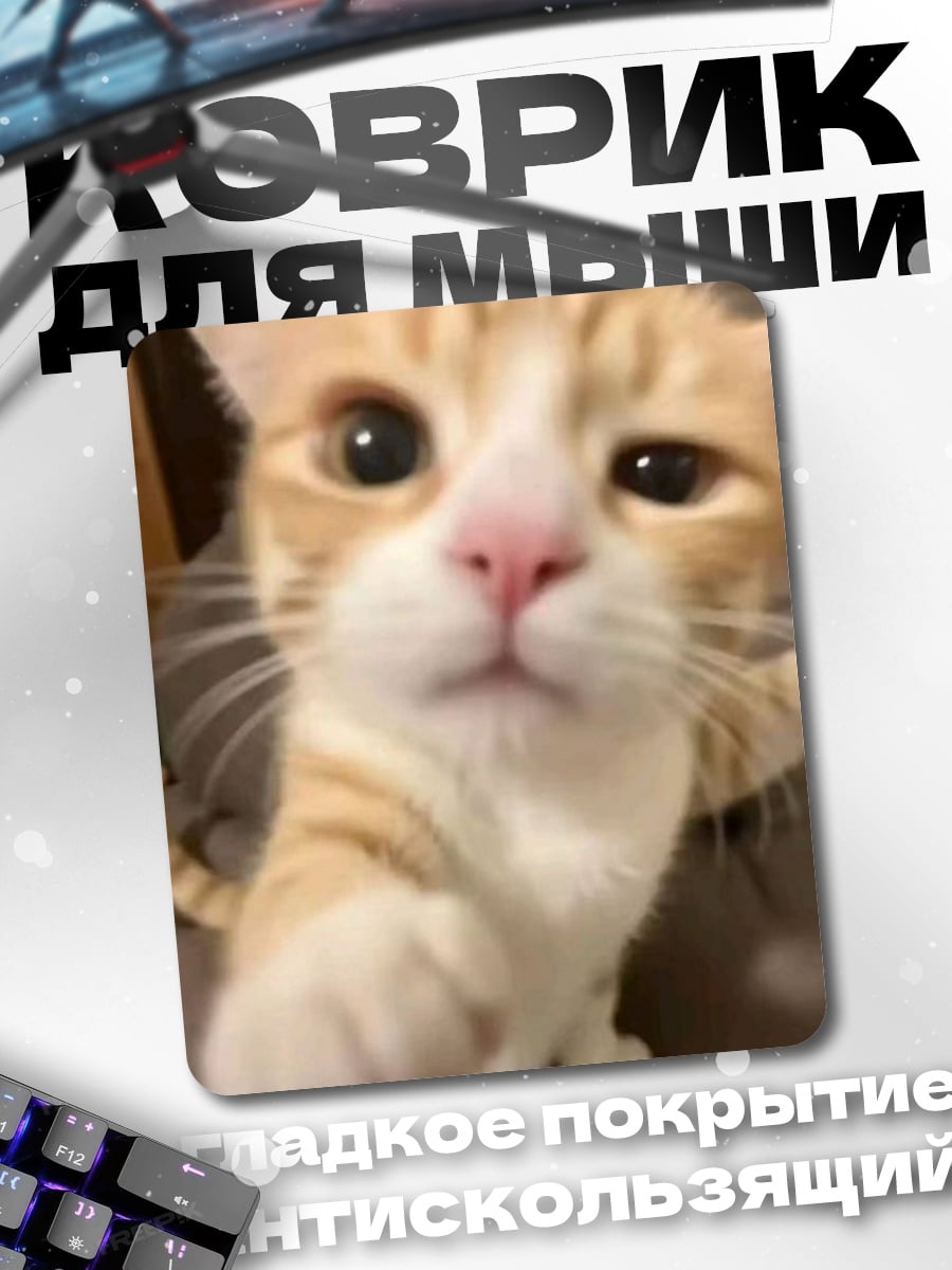 Коврик Рыжий кот