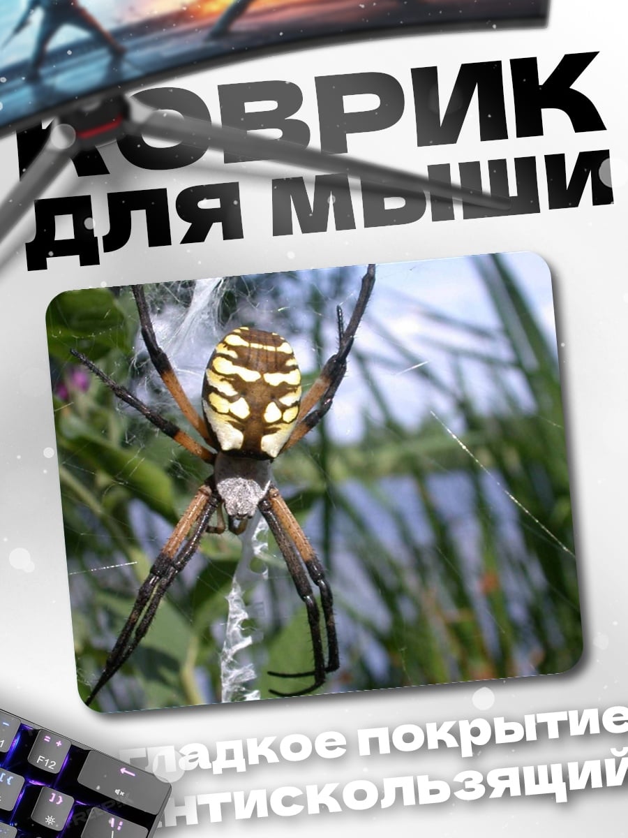 Коврик Паук на паутине