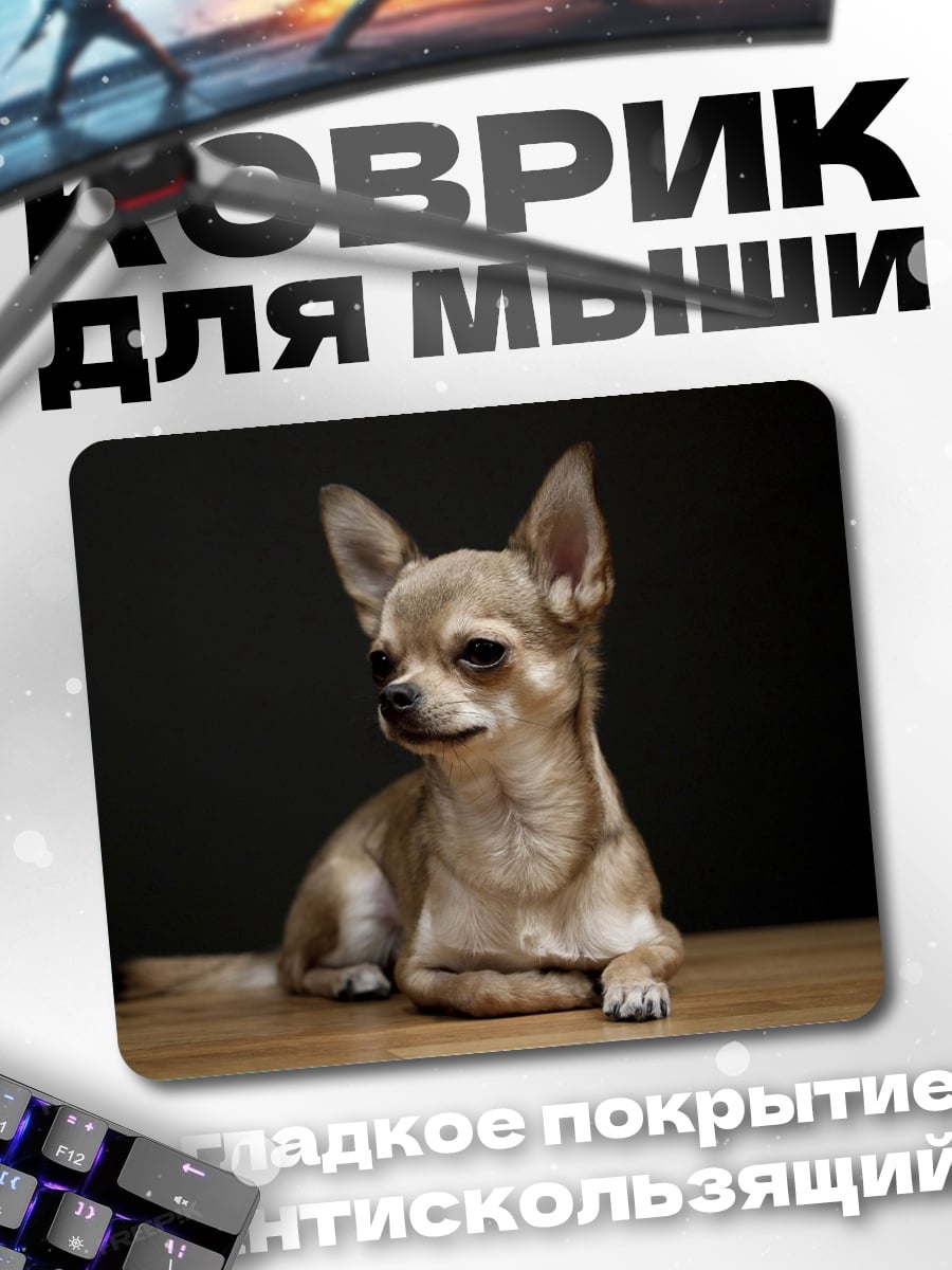 Коврик Чихуахуа на полу