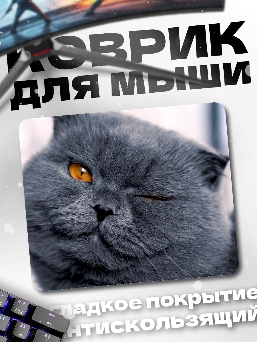 Коврик Хитрый серый кот