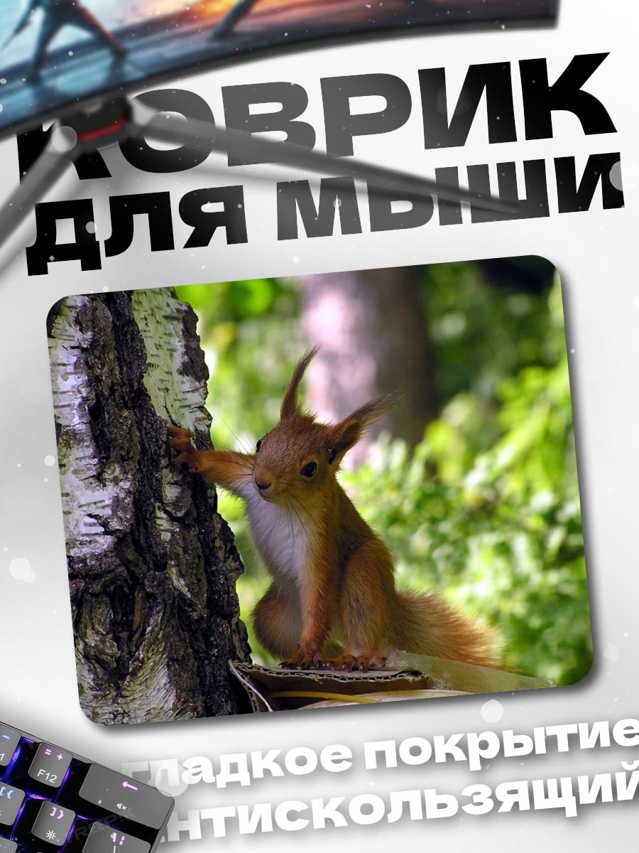 Коврик Белка на дереве