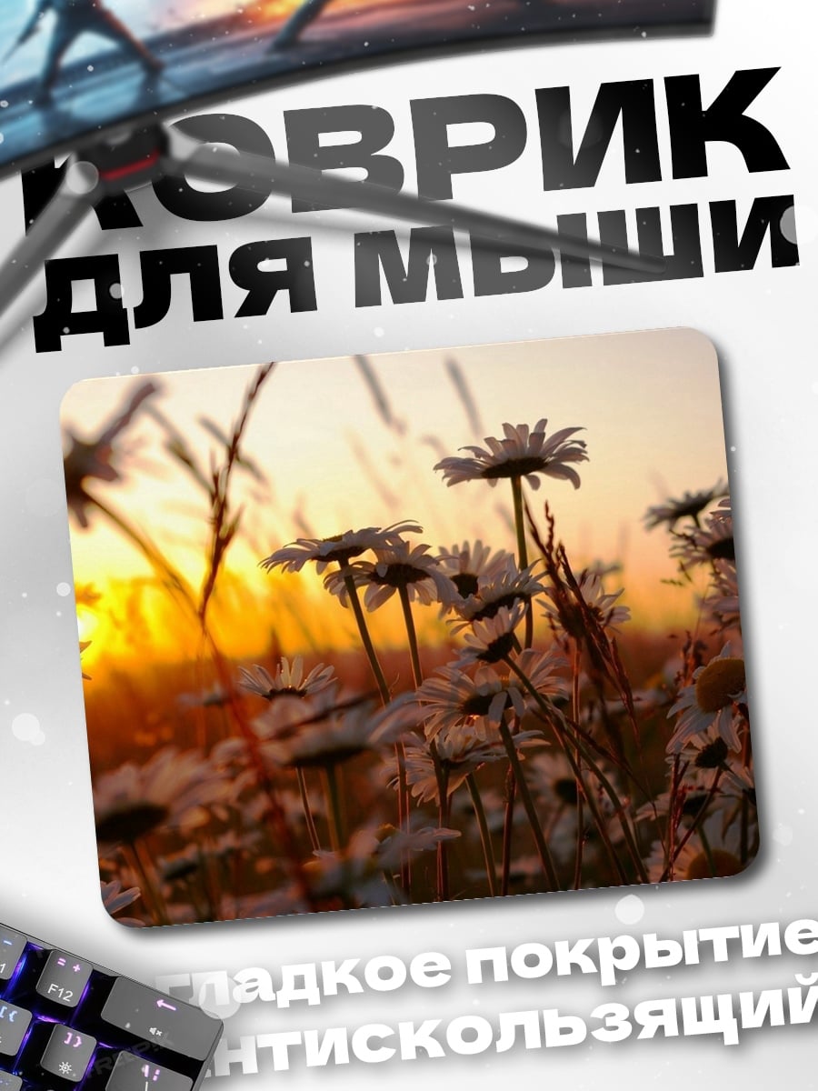 Коврик ромашки на закате