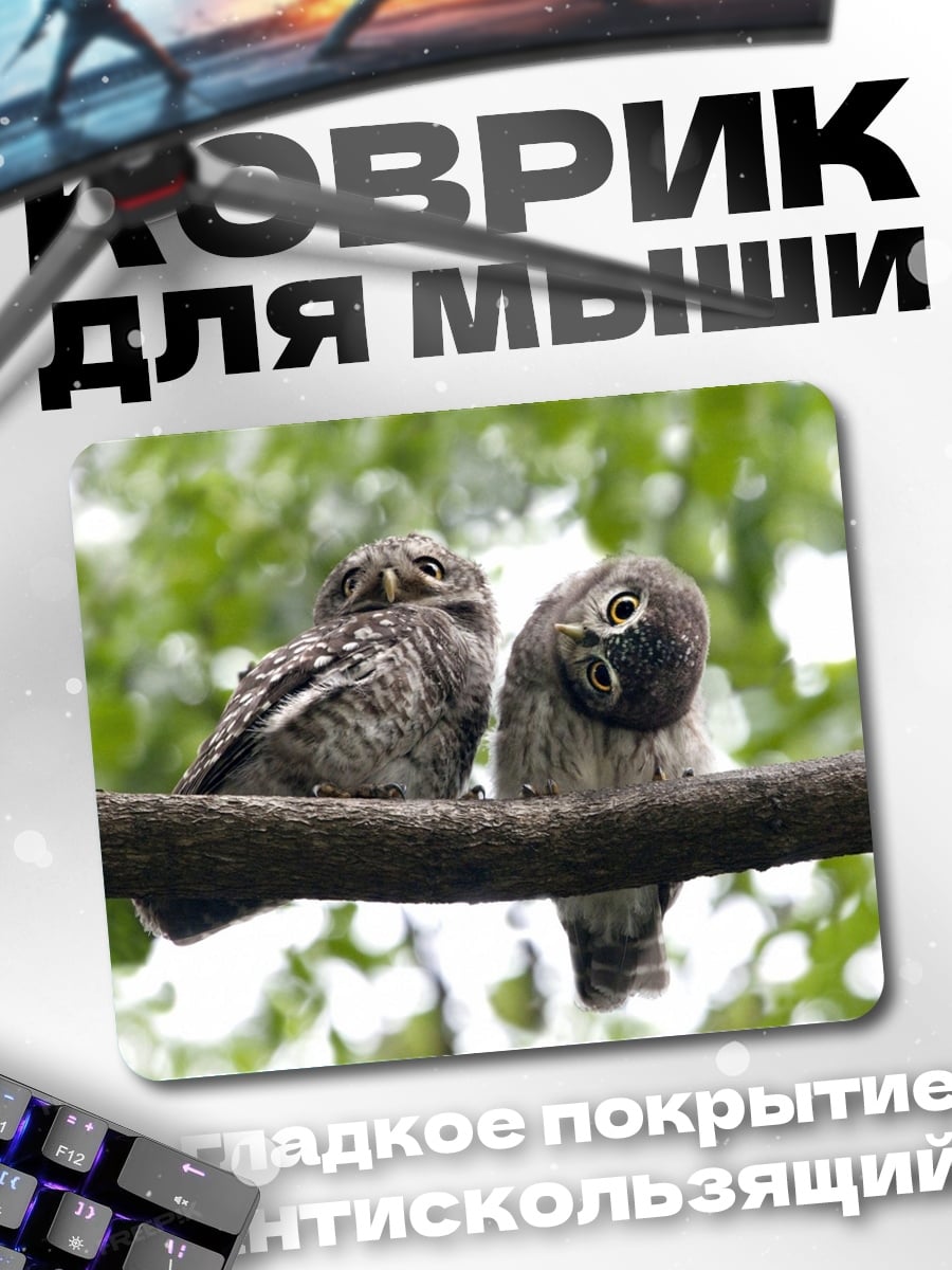 Коврик Две совы