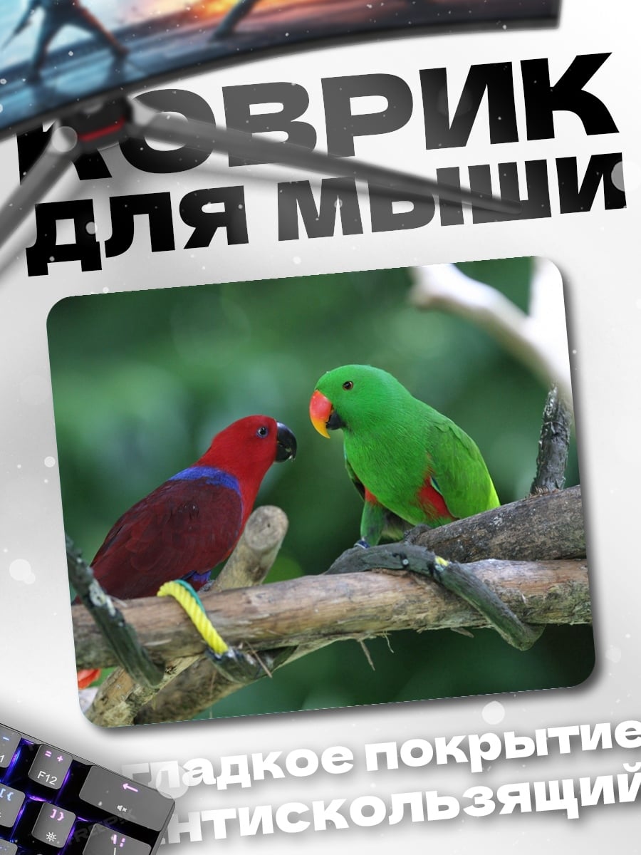 Коврик Две попугаи на ветке