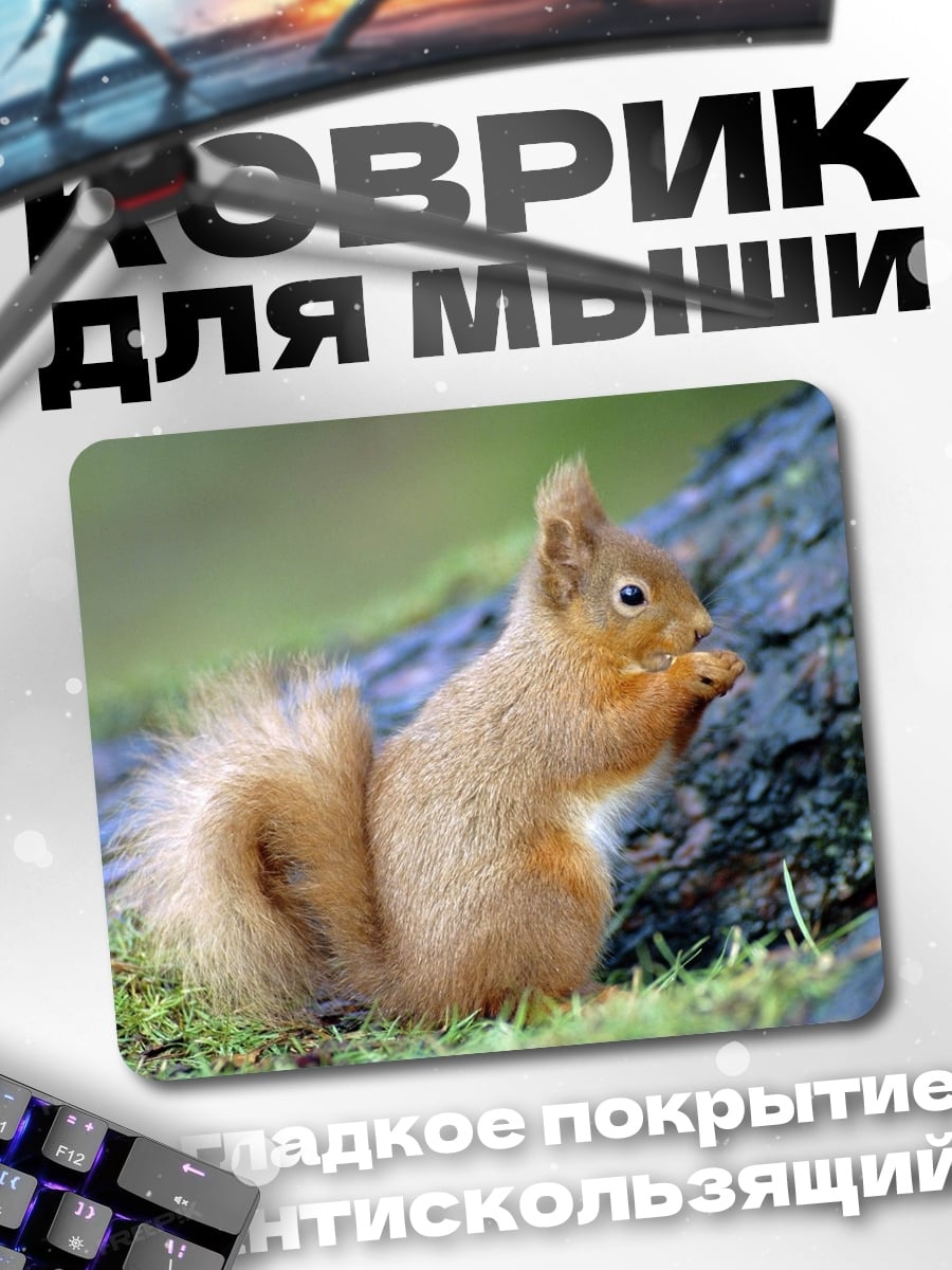 Коврик Рыжая белка ест