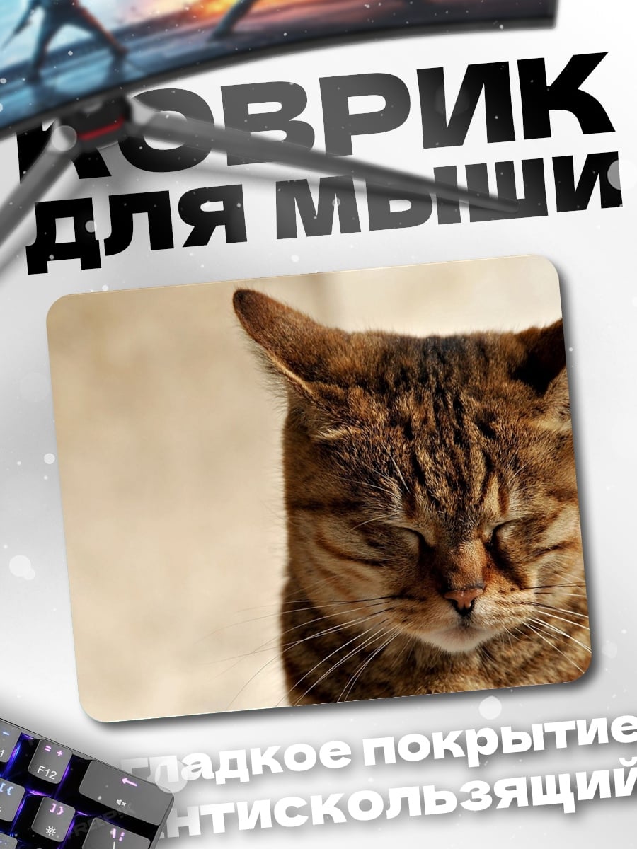 Коврик спящий кот