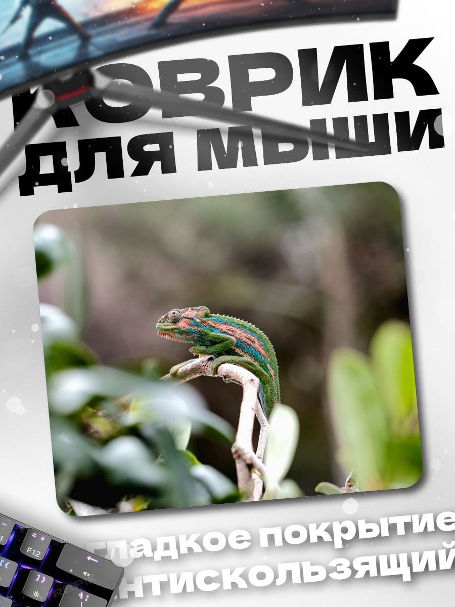 Коврик Хамелеон на ветке