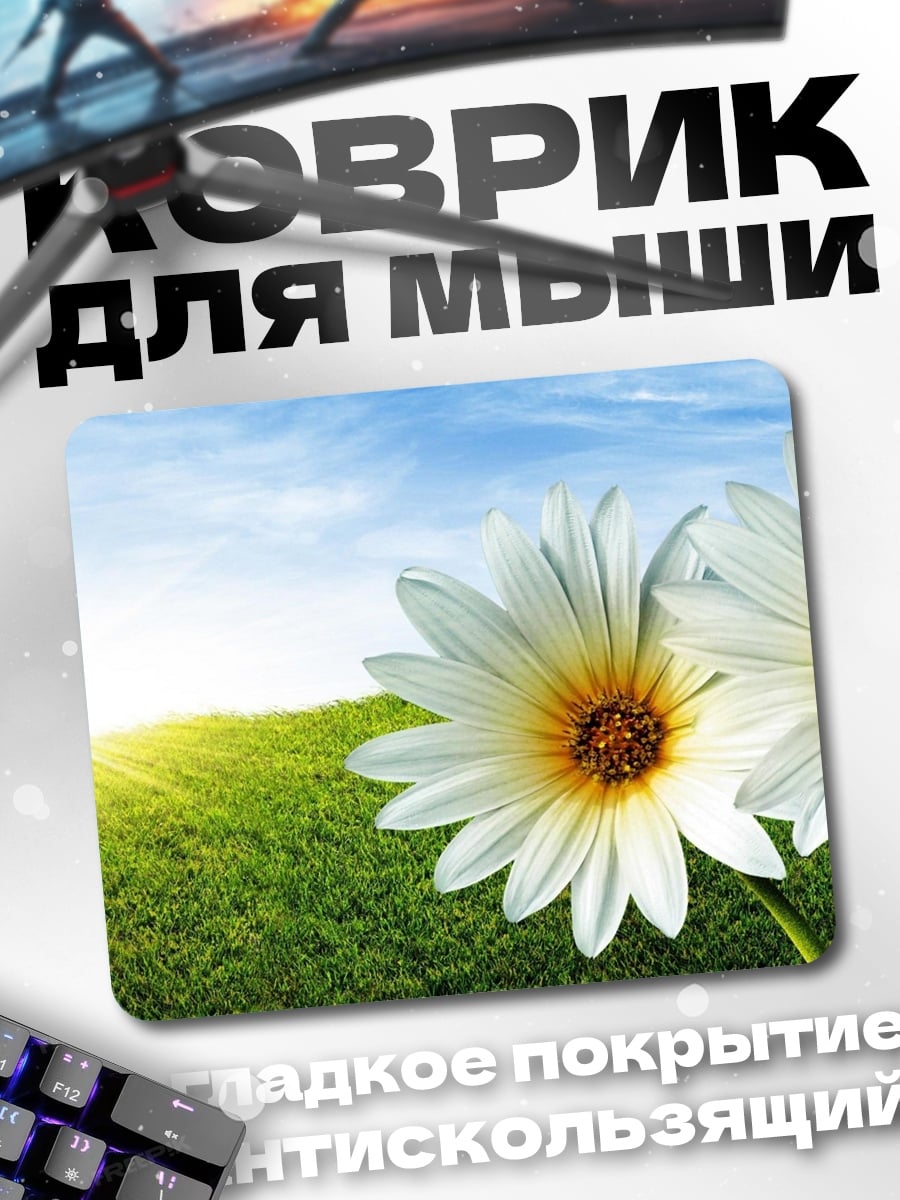 Коврик Две ромашки солнце