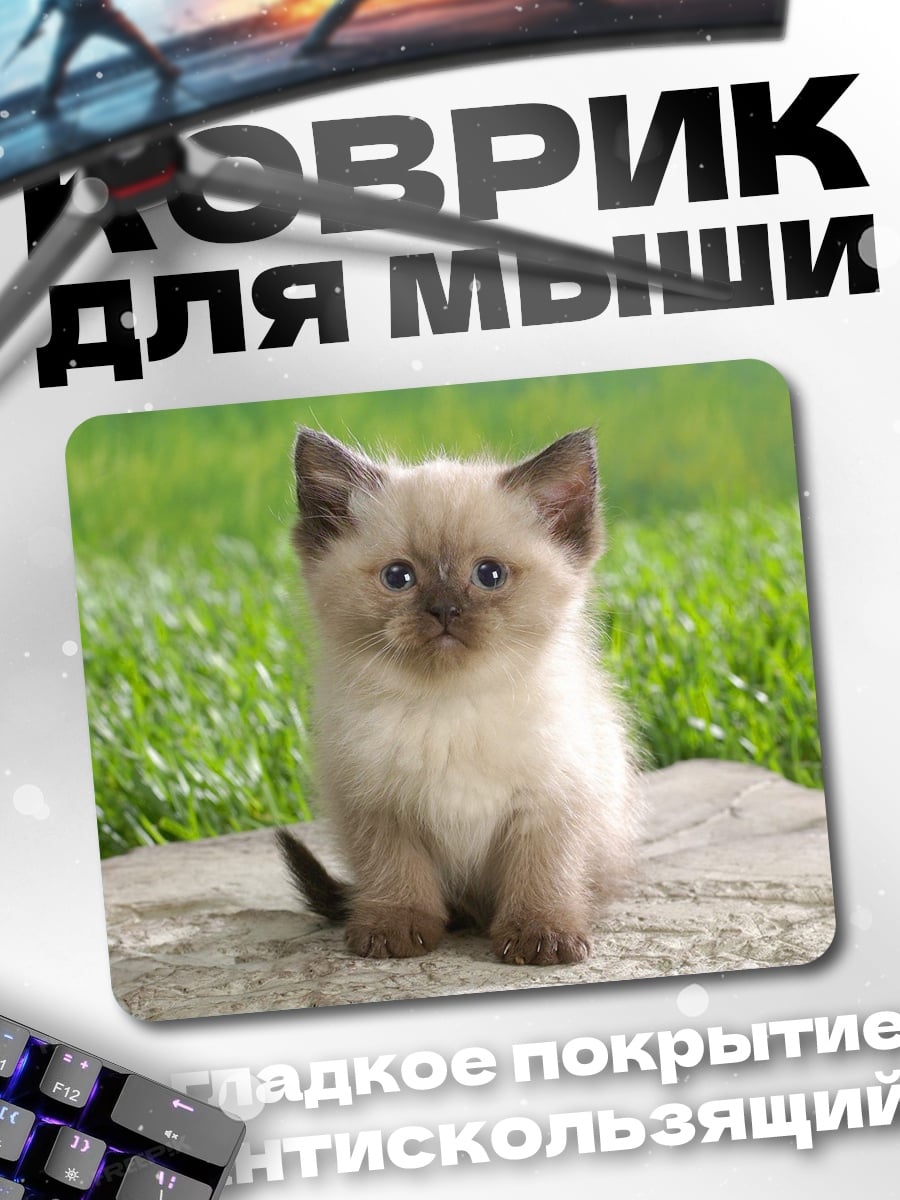 Коврик пушистый котенок