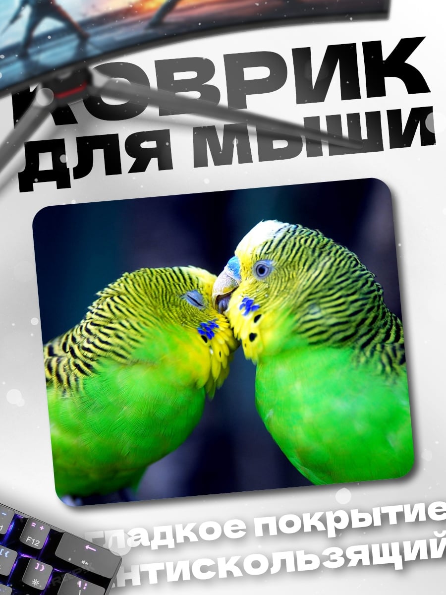 Коврик два попугая