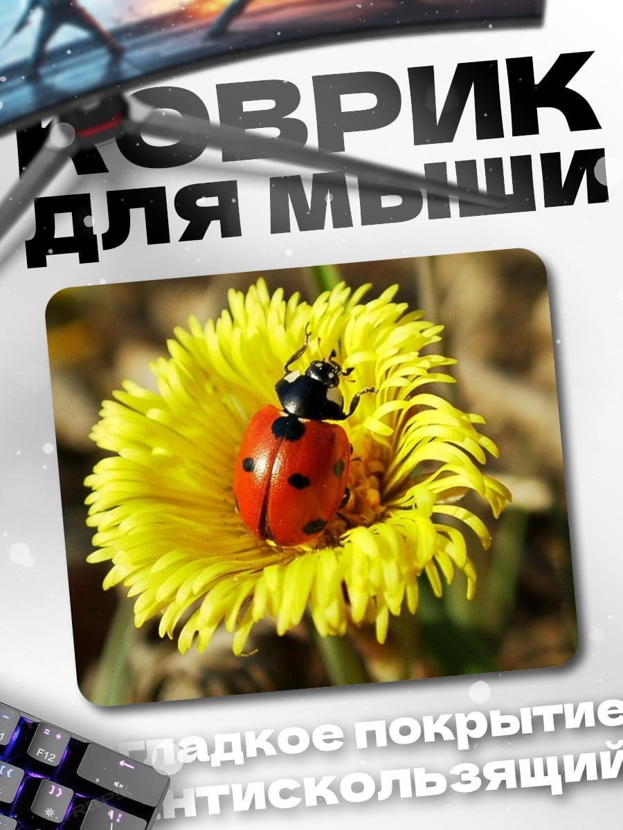 Коврик Божья коровка на цветке