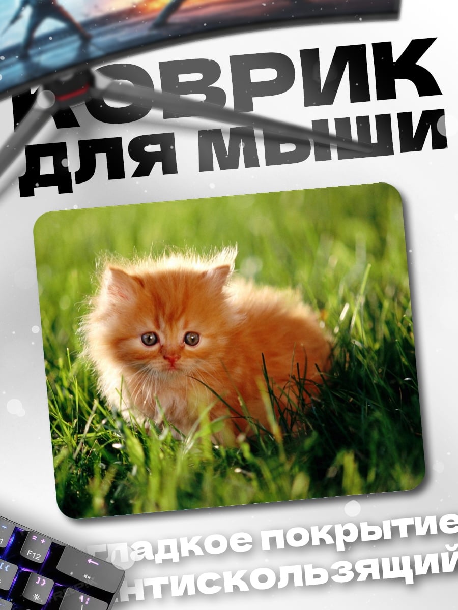 Коврик Рыжий котенок в траве