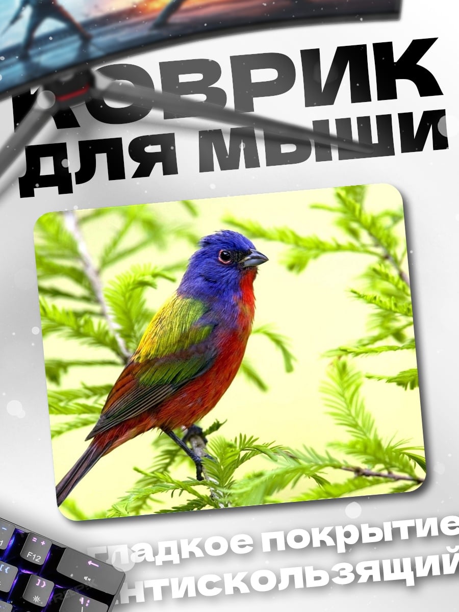 Коврик Расписная птица