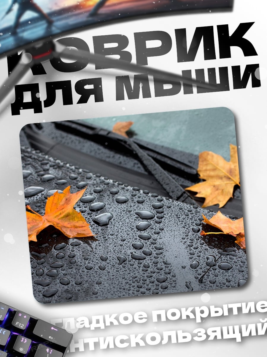 Коврик Осенние листья на машине