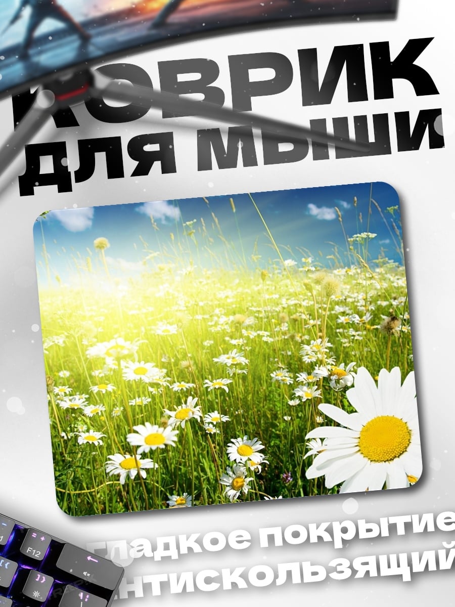 Коврик Поле ромашек на солнце