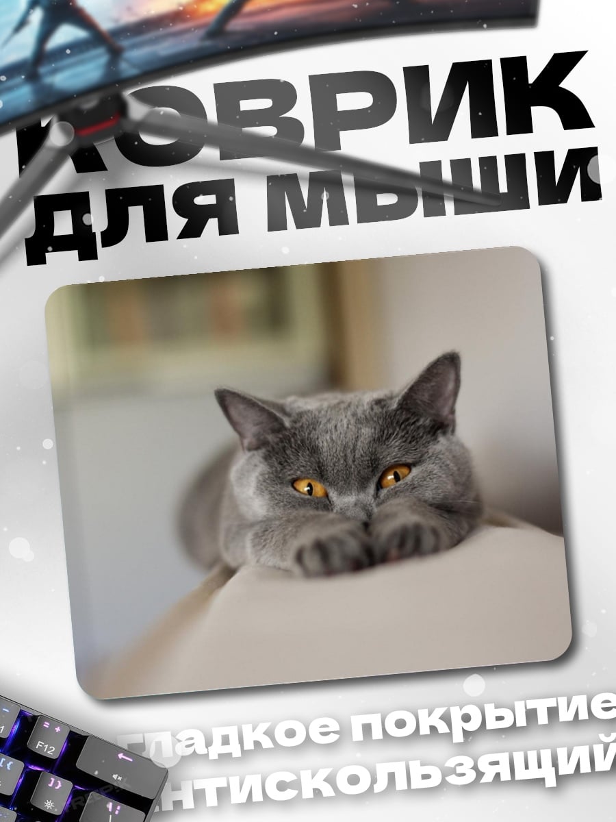 Коврик серый кот лежит
