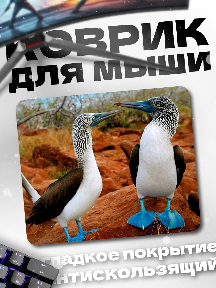 Коврик Пара птиц