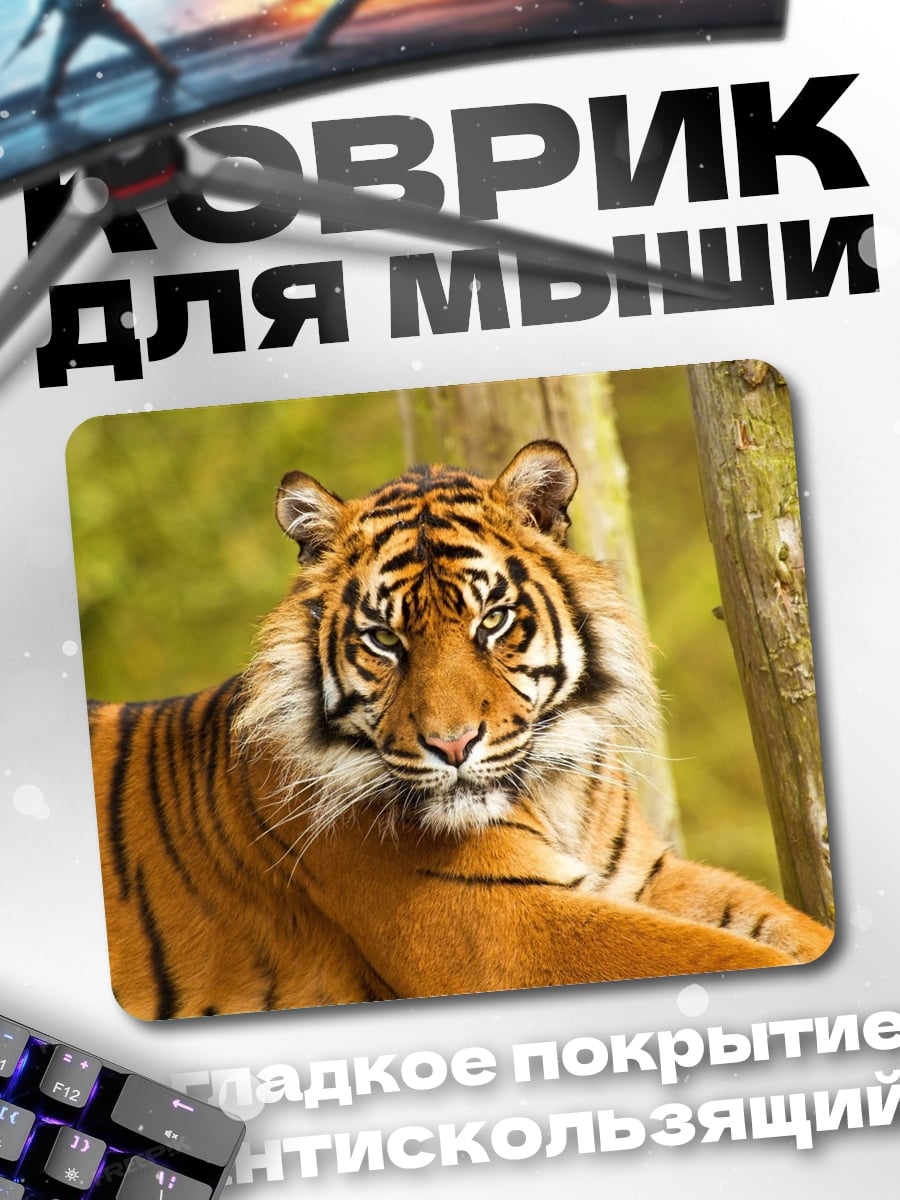 Коврик Портрет тигра
