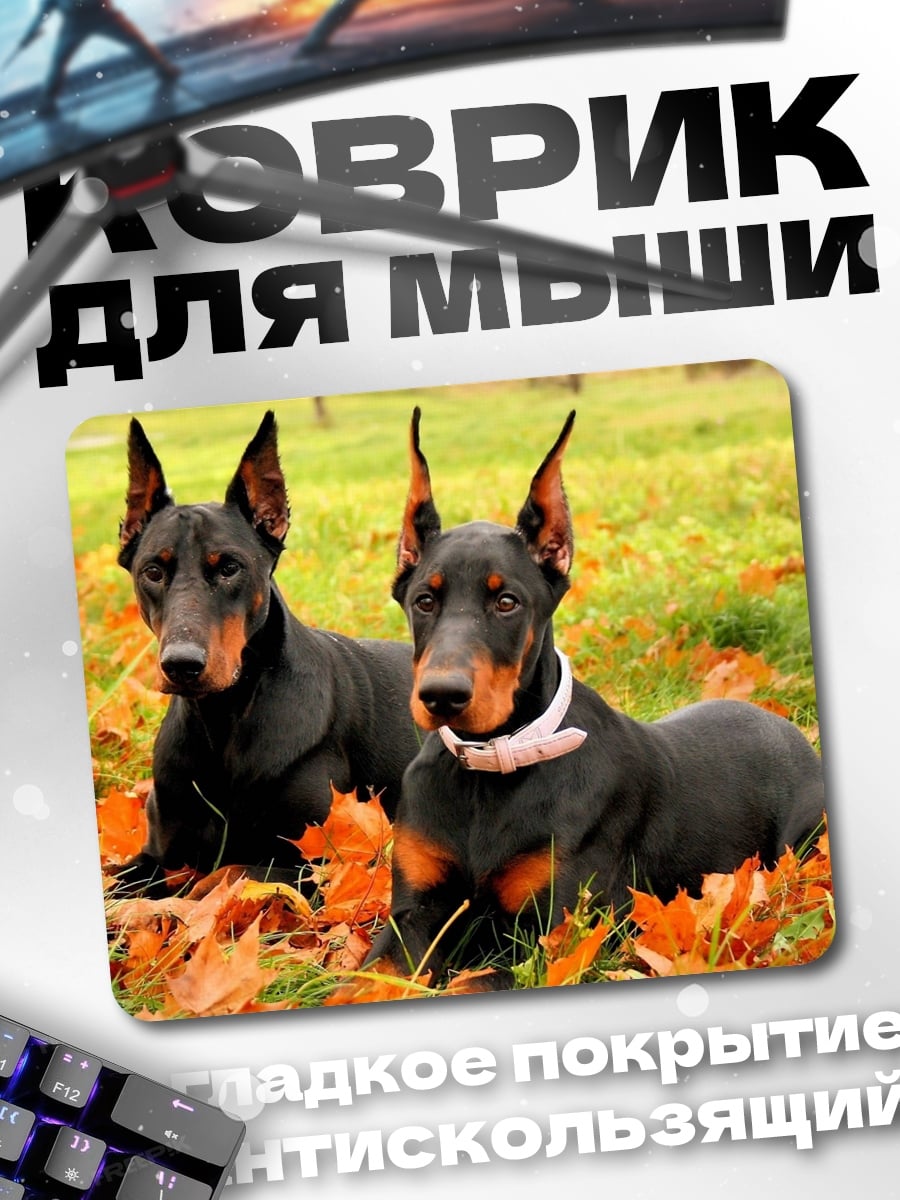 Коврик Пара доберманов