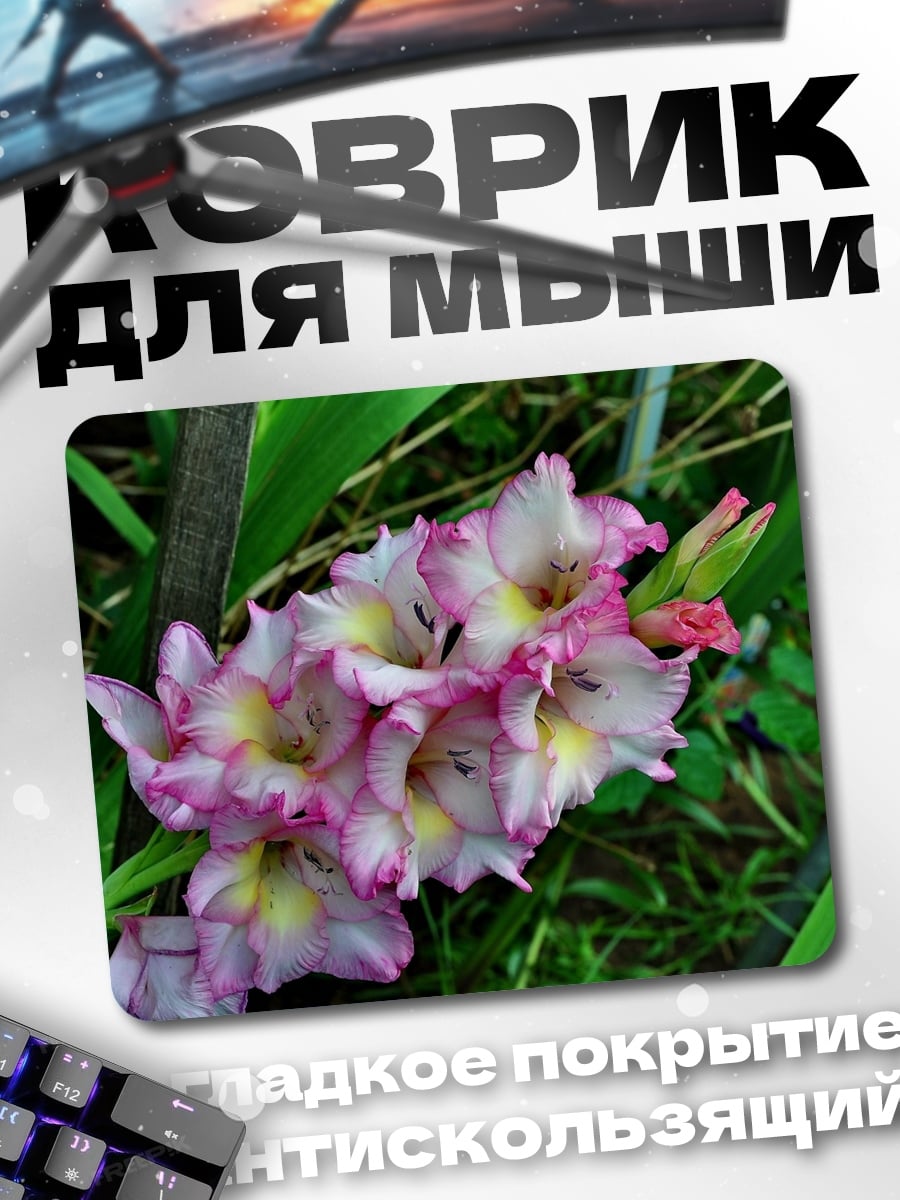 Коврик Розовые гладиолусы