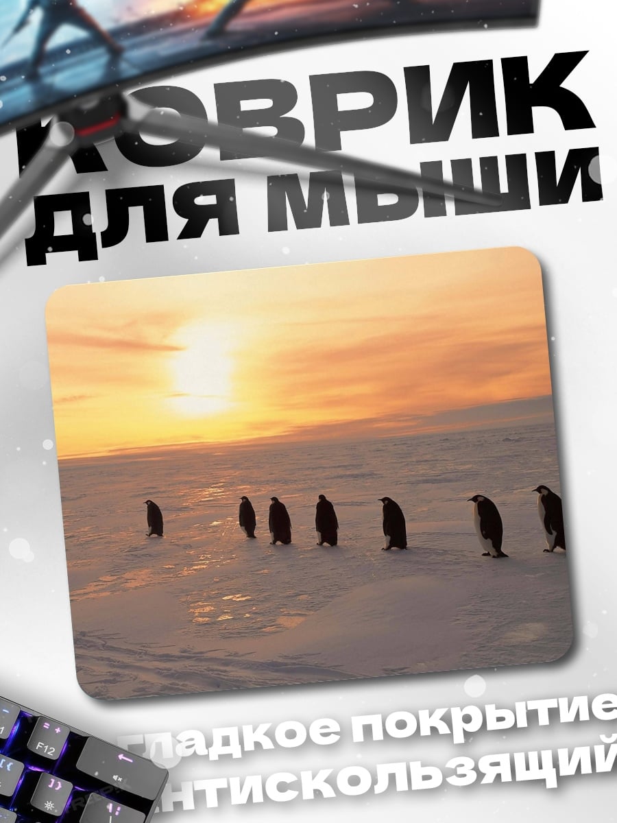 Коврик Пингвины на закате