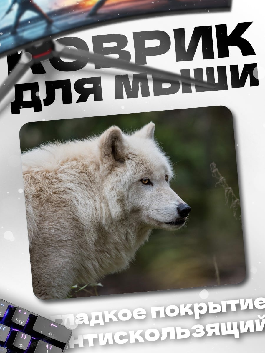Коврик Белый волк в лесу