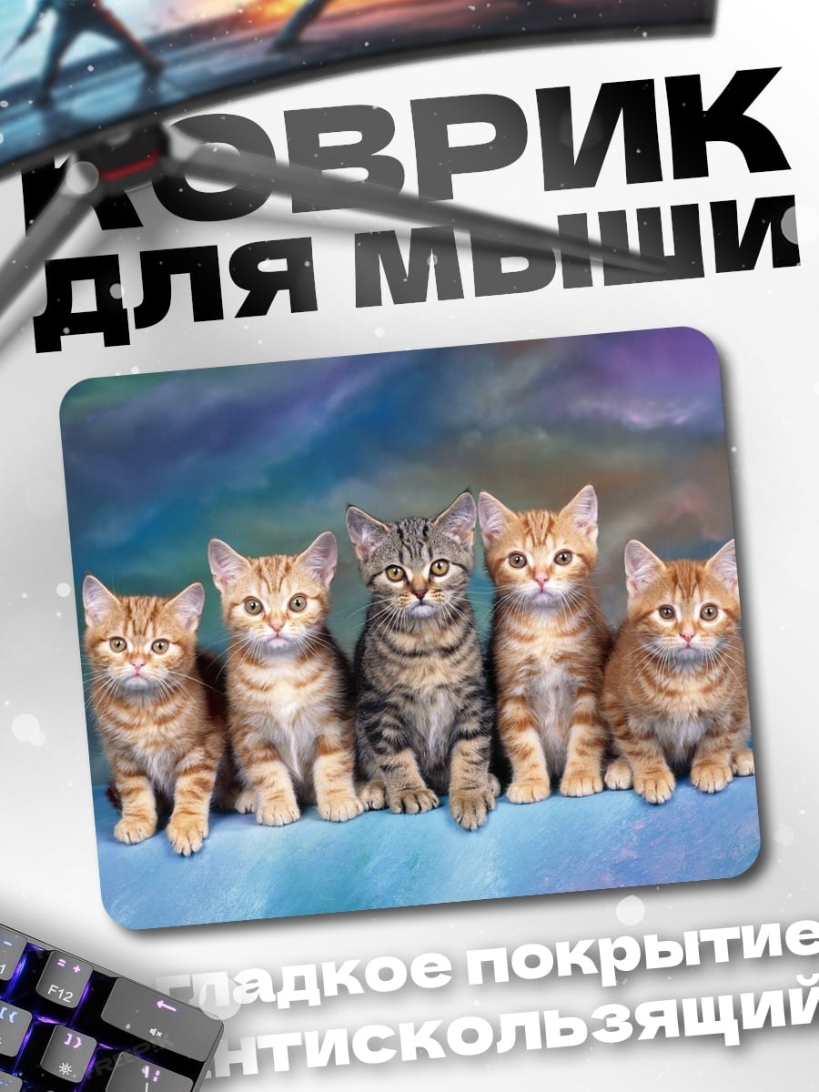 Коврик пятеро котят вместе