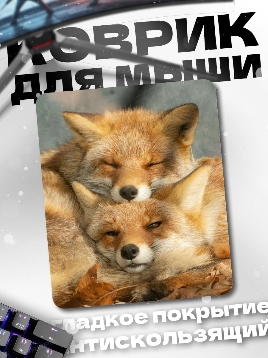 Коврик Две лисы спят