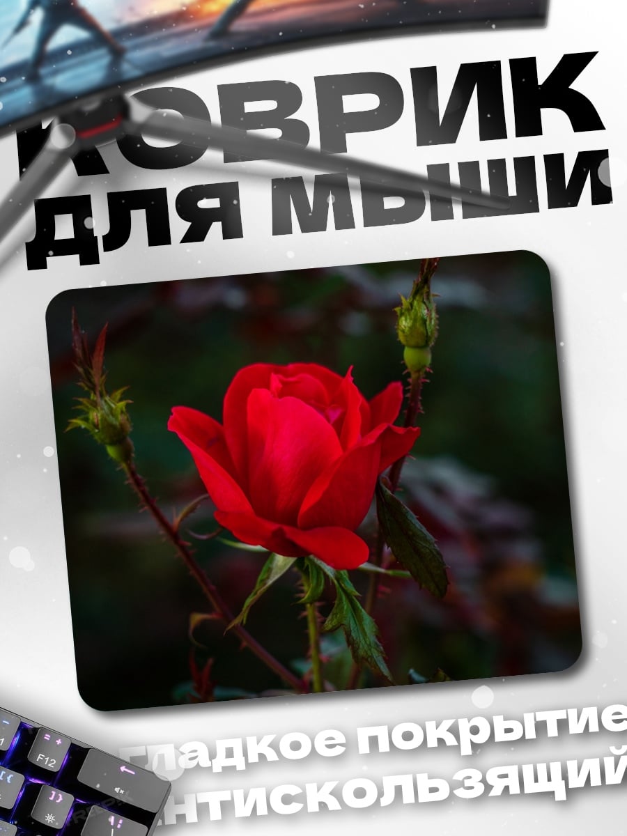 Коврик Алая роза