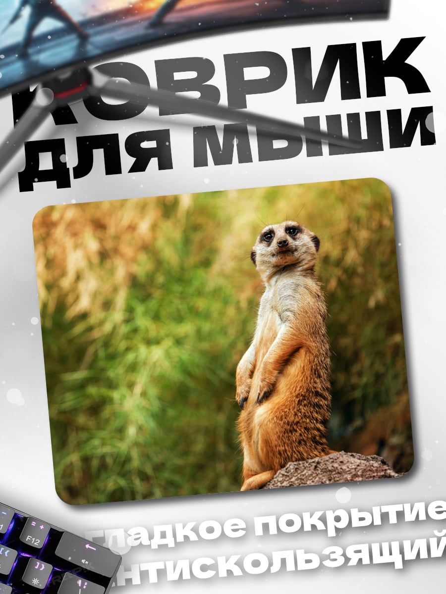 Коврик Сурикат на камне