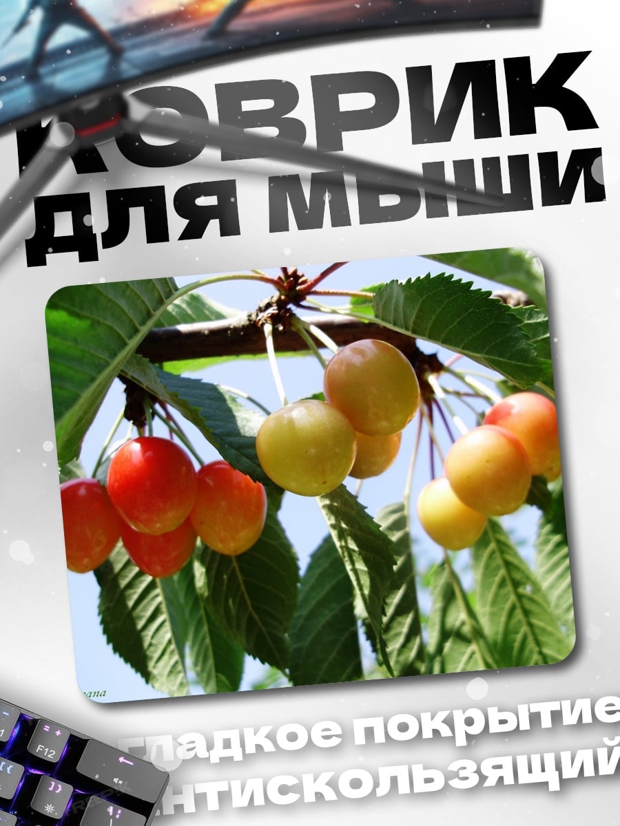 Коврик Спелая вишня на ветке