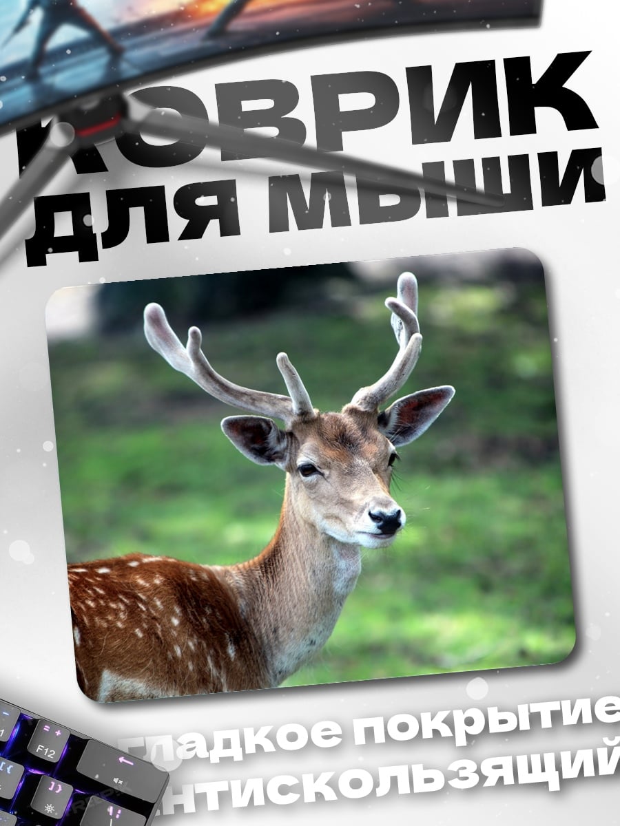Коврик пятнистый олень в лесу