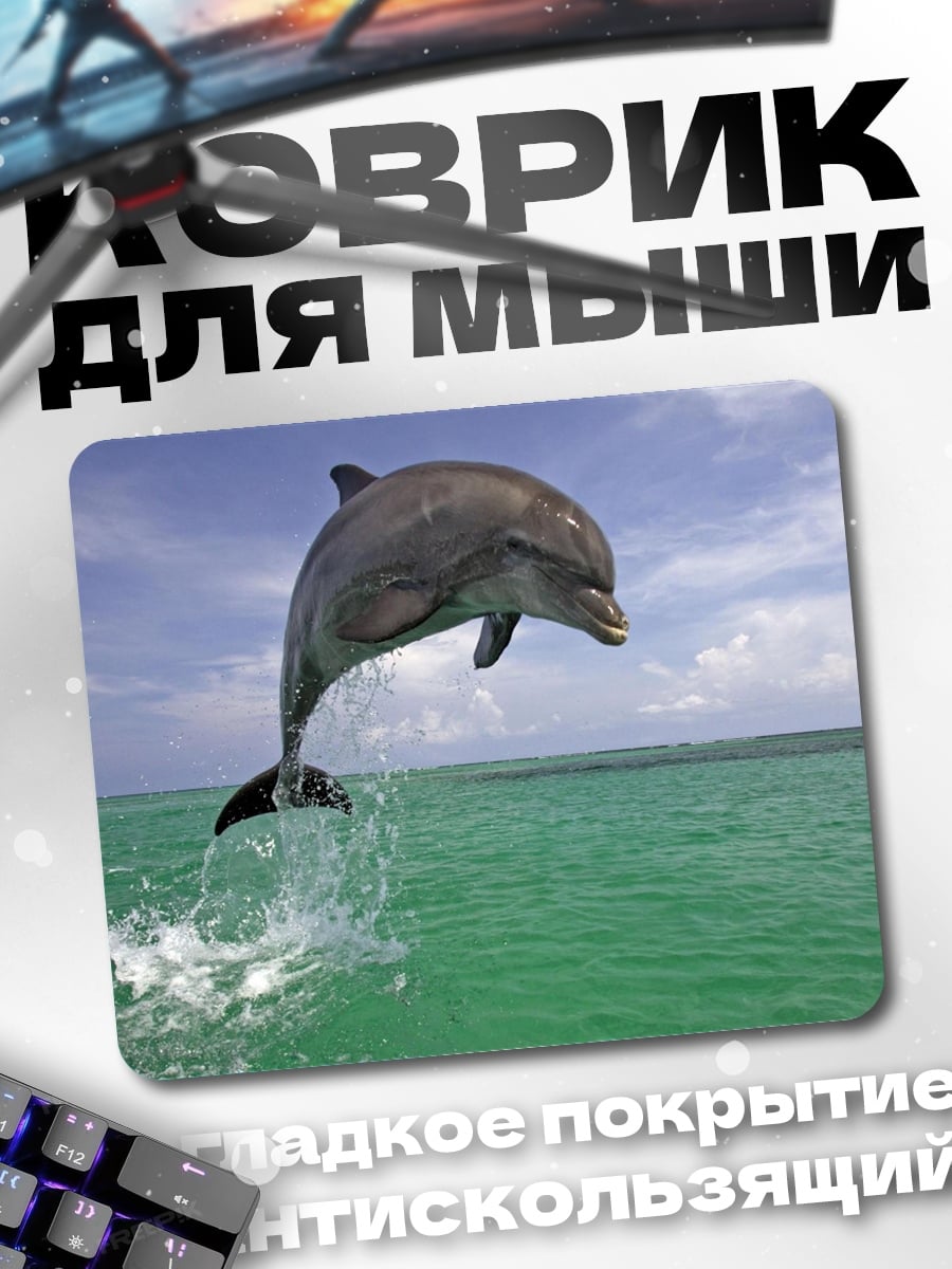 Коврик Прыгающий дельфин