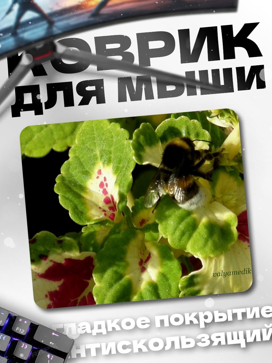 Коврик Шмель на цветке