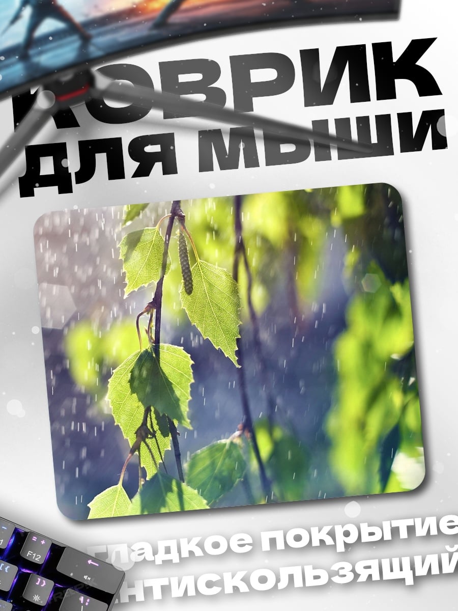 Коврик Березовые ветки под дождем