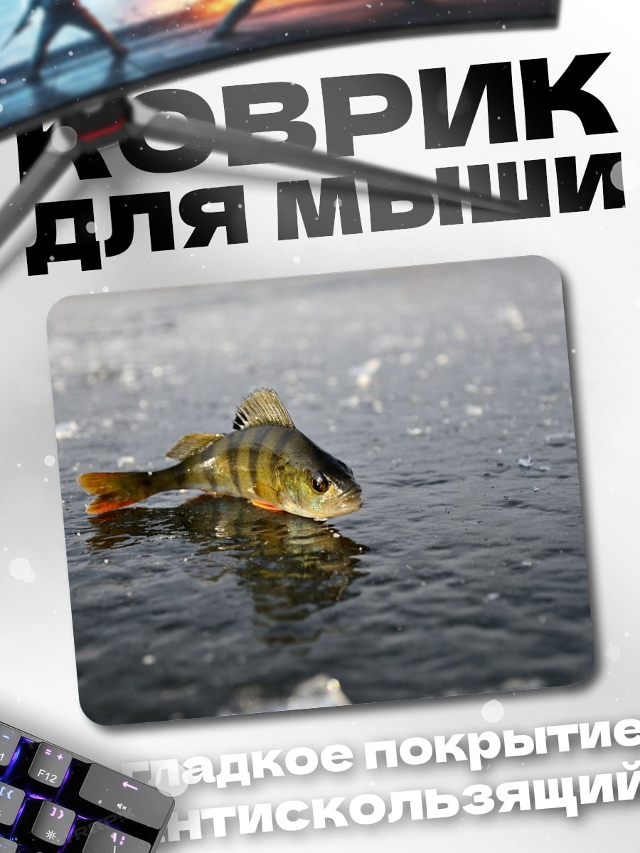 Коврик Окунь на льду