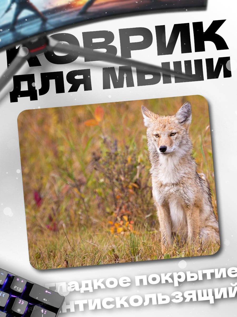 Коврик Лиса в осеннем поле