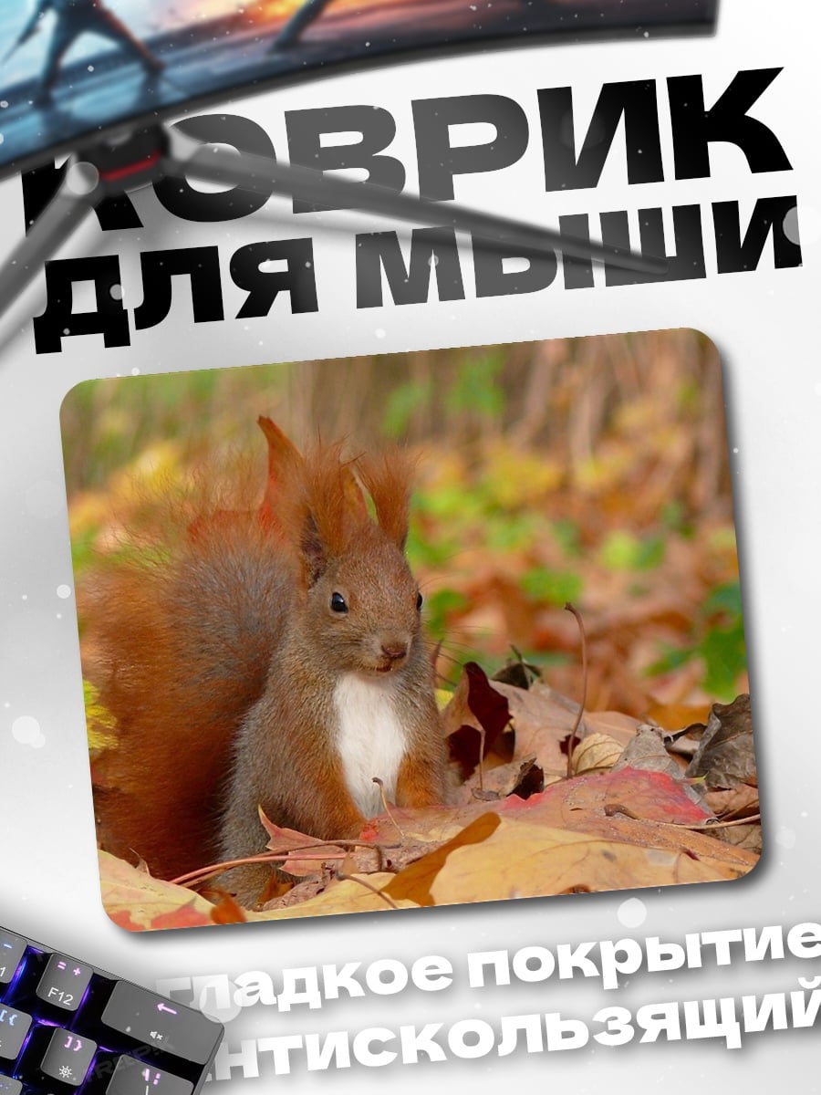 Коврик Рыжая белка осенью