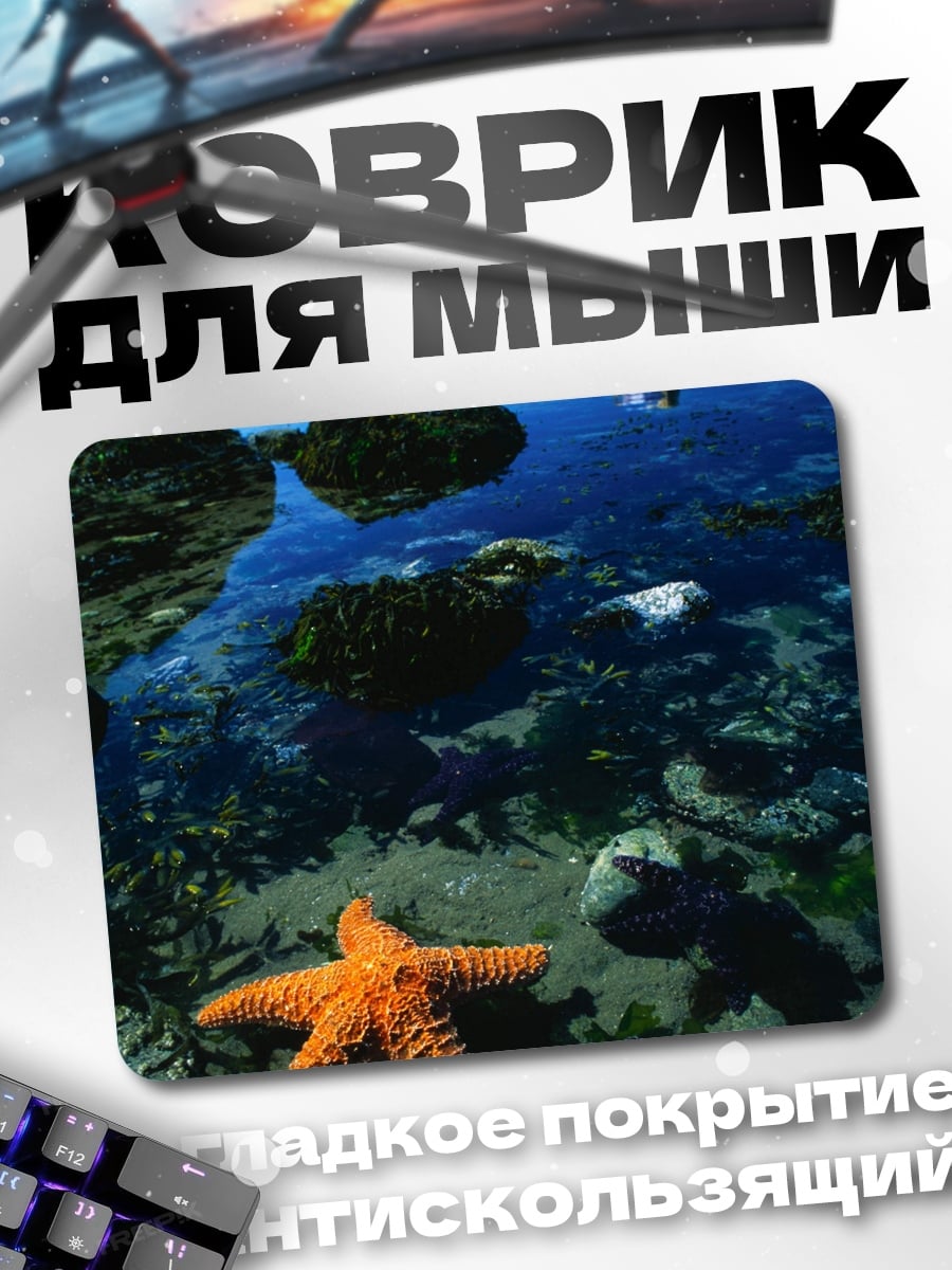 Коврик морские звезды