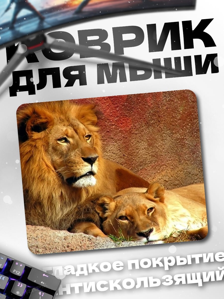 Коврик Львы в скалах
