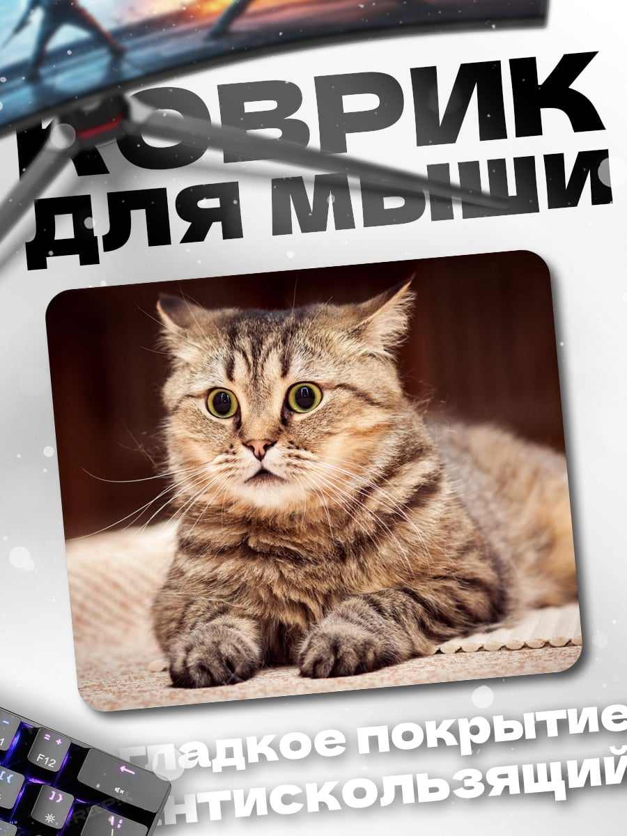 Коврик Удивленный кот