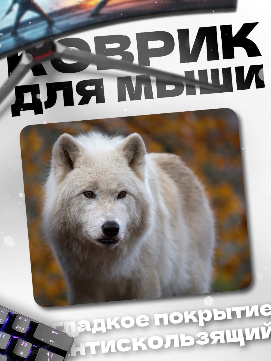 Коврик белый волк осенью
