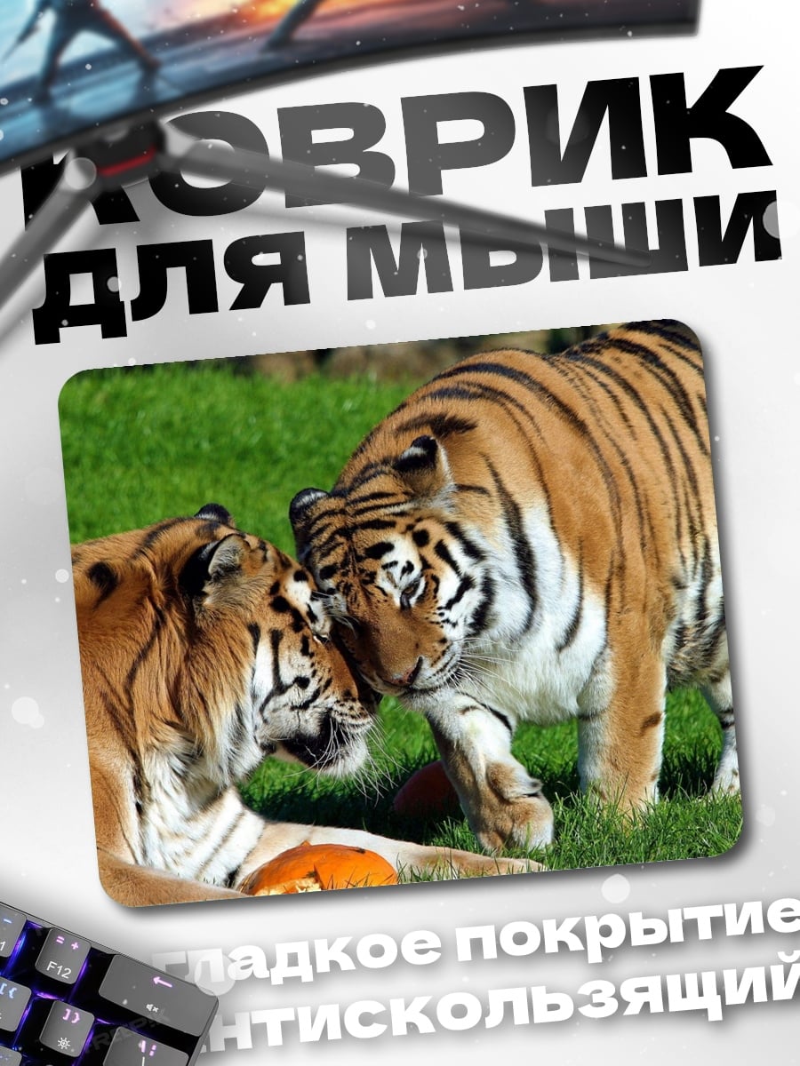 Коврик Два тигра